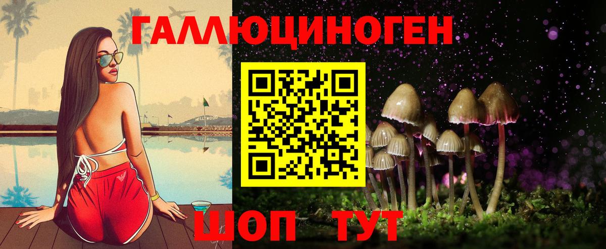 Галлюциногенные грибы GOLDEN TEACHER  цена   Ленинск-Кузнецкий  Вход с VPN 
