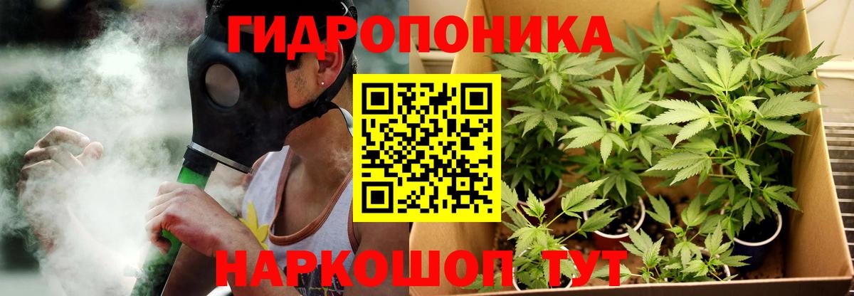 Бошки марихуана сатива  Бошки Шишки ГИДРОПОН  Ленинск-Кузнецкий  Шишки марихуана Amnesia  Бошки Шишки сатива  Вход с VPN 
